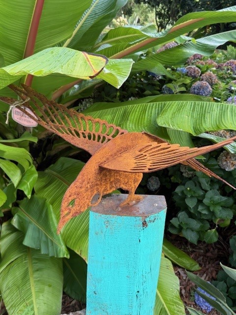 Tui Bird